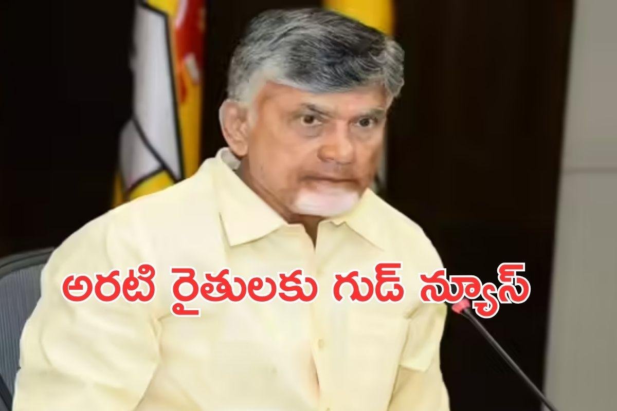 Andhra Pradesh: అరటి రైతులకు శుభవార్త చెప్పిన ముఖ్యమంత్రి చంద్రబాబు నాయుడు